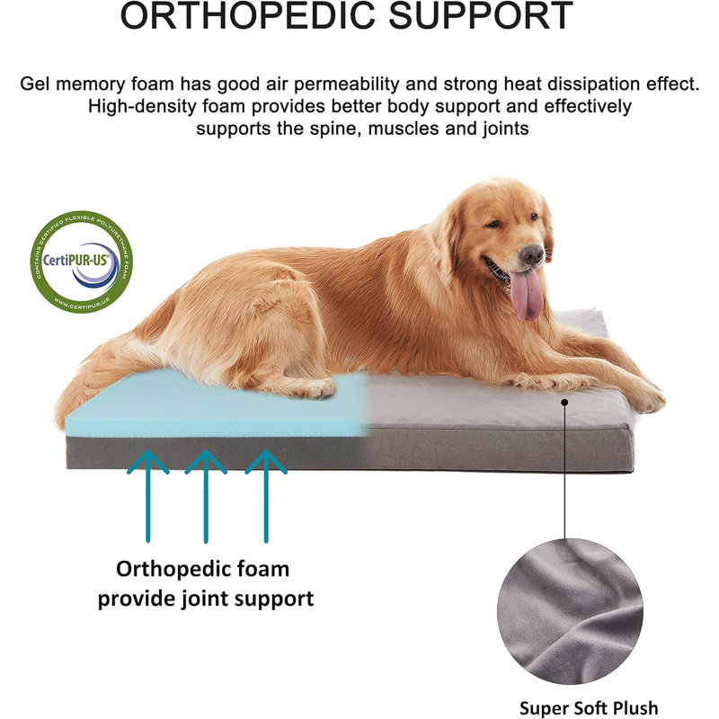 Memory foam dog bed with removable washable cover best sale